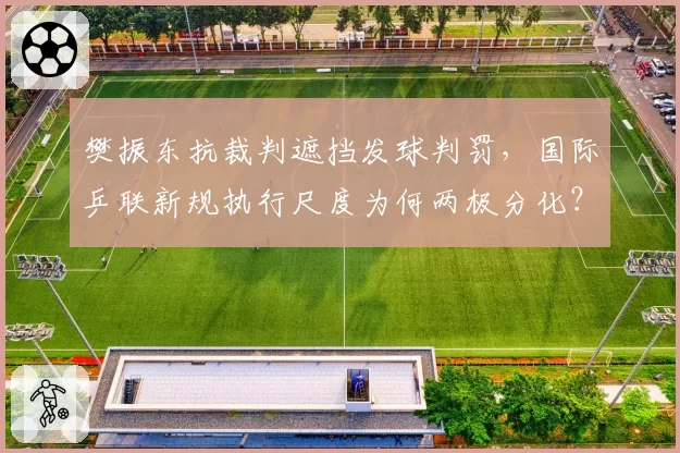 樊振东抗裁判遮挡发球判罚，国际乒联新规执行尺度为何两极分化？