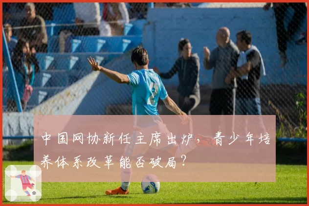中国网协新任主席出炉,青少年培养体系改革能否破局?